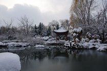 姜堤乐园景点图片