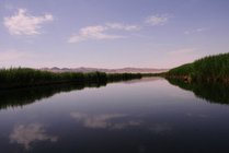 新疆库尔勒莲花湖旅游区景点图片