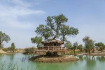 罗布人村寨景点图片
