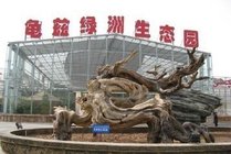 龟兹绿洲生态园景点图片