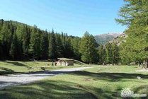 哈密天山国家森林公园寒气沟景区景点图片