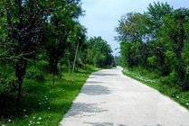 金山森林公园景点图片