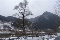 互助土族故土园旅游区景点图片