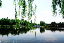 柳湖景点图片