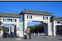 金川公园景点图片
