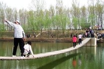 丰乐葵园景点图片