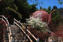 养子沟景点图片