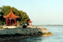 濮阳毛楼生态旅游区景点图片