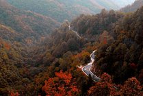 甘山国家森林公园南门景点图片