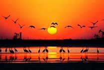 天鹅湖景区景点图片