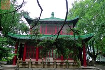 览胜楼景点图片