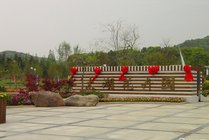 太湖花卉园景点图片
