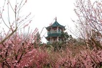 无锡梅园横山风景区景点图片