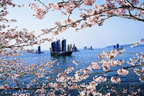 太湖鼋头渚风景区景点图片