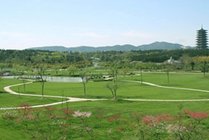 龙背山森林公园景点图片