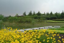 白塘生态植物园景点图片