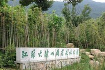 江苏大阳山国家森林公园景点图片
