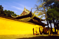 西园戒幢律寺景点图片