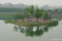 梁丰生态园景点图片