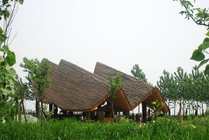 扬州凤凰岛生态旅游区景点图片