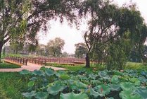 茱萸湾风景区景点图片