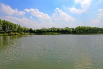 大纵湖旅游度假区景点图片