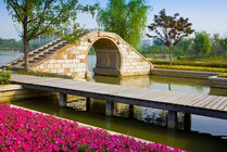 青枫公园景点图片