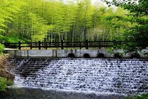 天目湖御水温泉景点图片