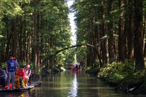 李中水上森林公园景点图片