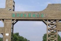 溱湖国际湿地公园景点图片