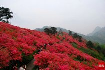龟峰山风景区景点图片