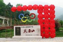 天目山风景区景点天气实景图