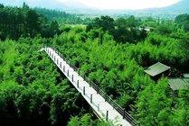安吉竹博园景点图片