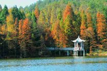 宁波四明山森林公园景点图片