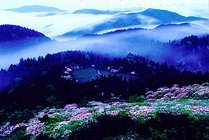 天台山天湖景区景点图片
