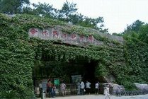 合肥野生动物园景点图片