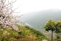 丫山花海石林旅游风景区景点天气实景图