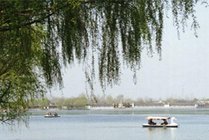 颖州西湖风景名胜区景点图片
