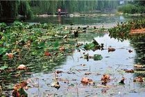 太平湖景点图片
