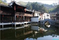 紫园景点图片