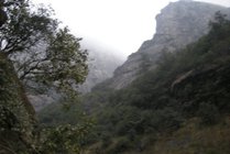 鄣山大峡谷风景区景点图片