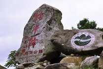 牯牛降景点图片