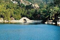 厦门园林植物园景点图片