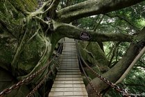 清源山风景名胜区景点图片
