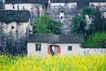 思溪延村景区景点图片