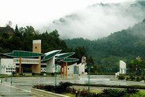 阳岭国家森林公园景点图片
