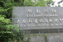 大围山国家森林公园景点图片