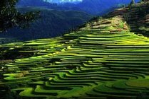 贵州紫林山国家森林公园景点图片