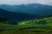 马岭河峡谷景点图片