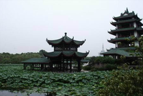宝光桂湖文化旅游区景点图片